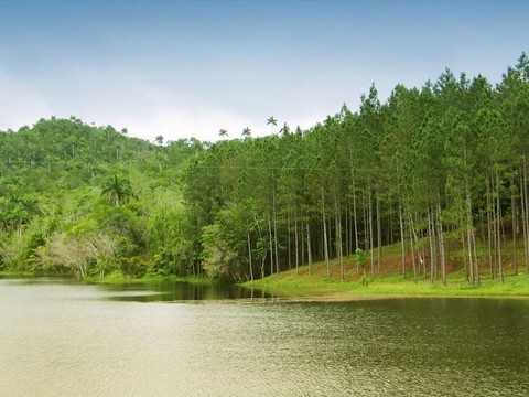 美麗的湖泊景觀