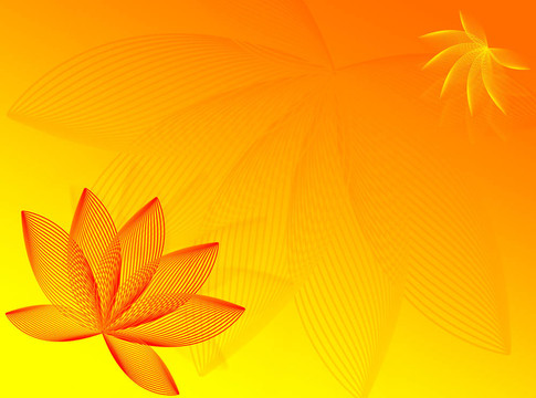 五顏六色的花朵