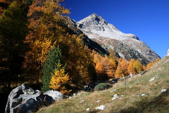 polaschin奇峰