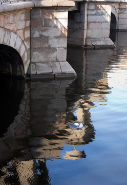 橋