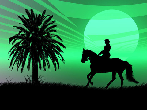 夕陽中的馬