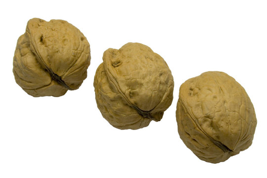核桃樹(shù)