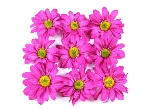 Flowers。