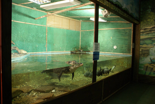水族館