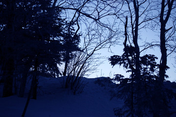 林海雪原 雪鄉(xiāng)