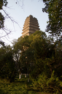 西安小雁塔