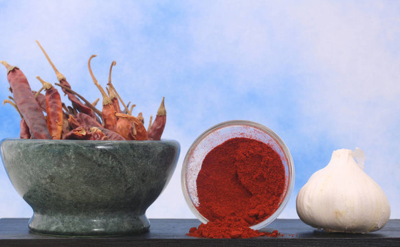 小辣椒和Garlic