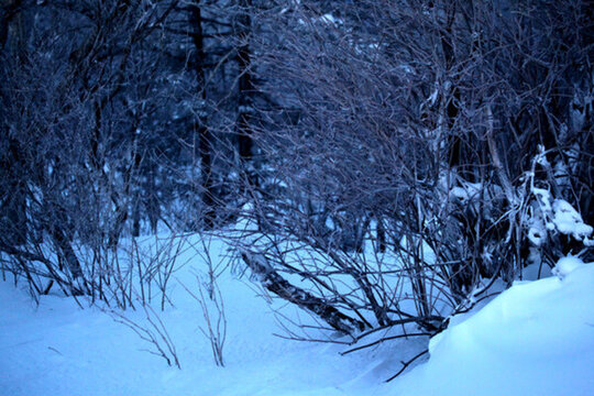 林海雪原 雪鄉(xiāng) 白雪 冬天 山