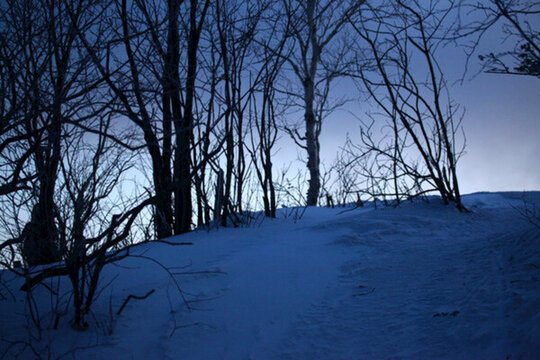 林海雪原 雪鄉(xiāng) 白雪 冬天 山