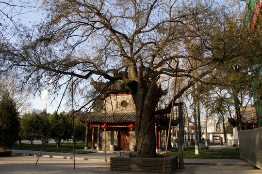 鼓樓