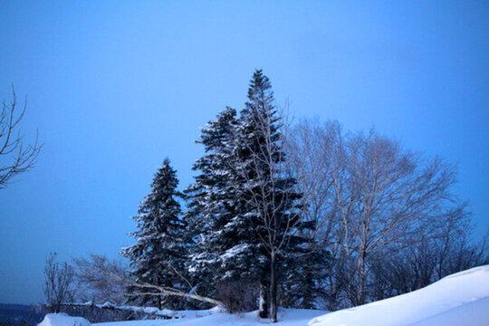 林海雪原 雪鄉(xiāng) 白雪 冬天 山