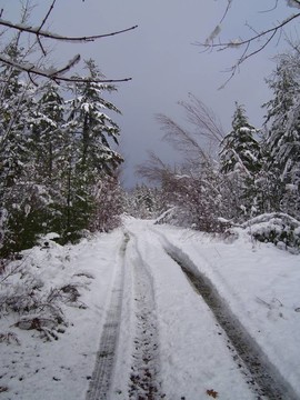 積雪的路上
