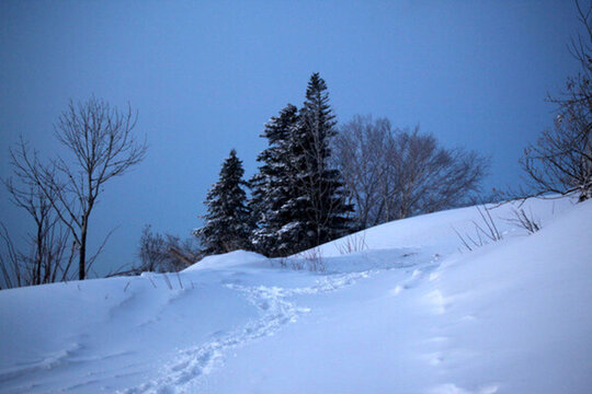 林海雪原 雪鄉(xiāng) 白雪 冬天 山
