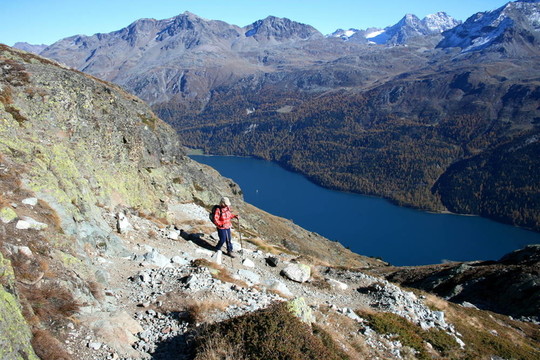 Silvaplanasee；Piz Surlej