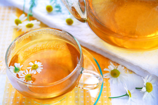 甘菊茶