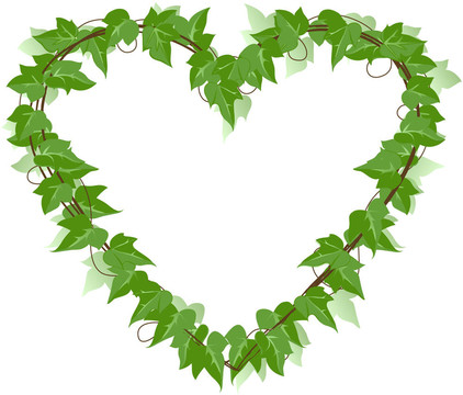 常春藤葉的心