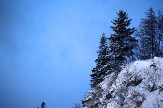 林海雪原 雪鄉(xiāng) 白雪 冬天 山