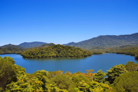 Copperlode Dam（湖莫里斯）