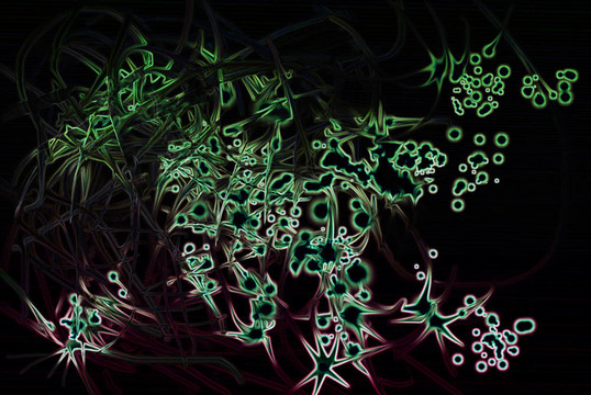 neuronas