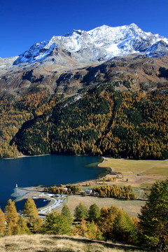 Silvaplanasee；P. Corvats