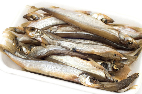 鯡魚(yú)