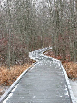 在Snow的線索