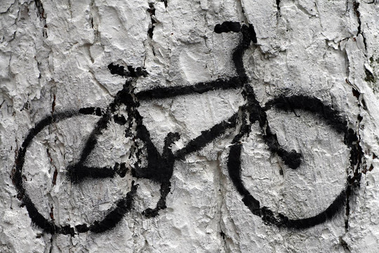 bicicle