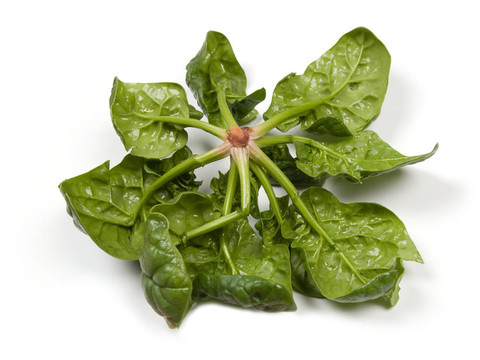 菠菜