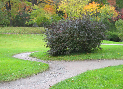 公園里