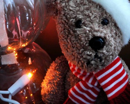 圣誕節(jié)Teddy Bear