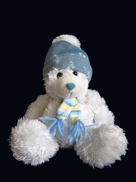 圣誕節(jié)Teddy Bear