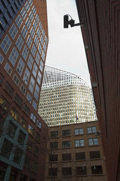 clioplein