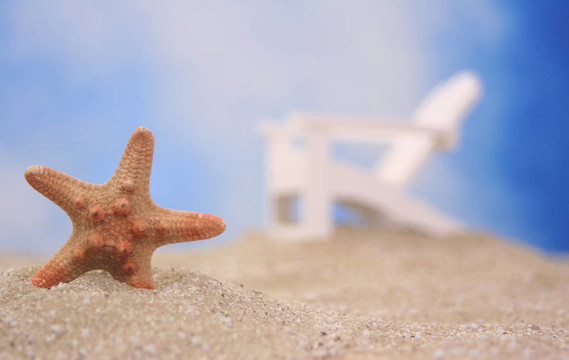 海灘上的海星和卡希爾