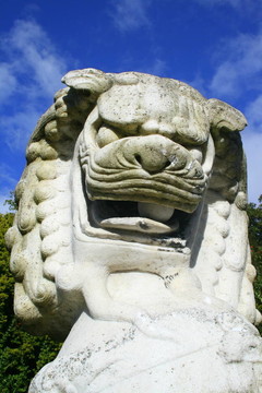 北京狗福爾柯克