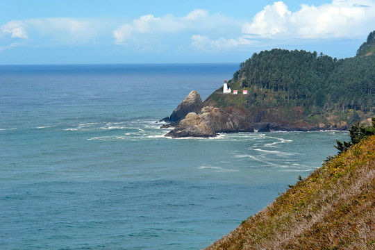 在海岸上