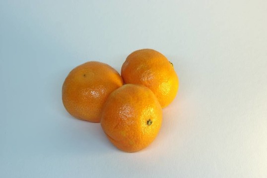 中國柑橘