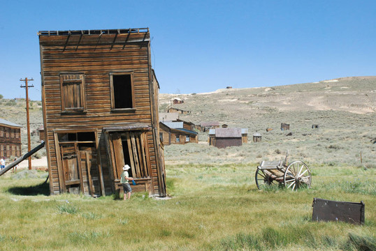 Bodie；公司