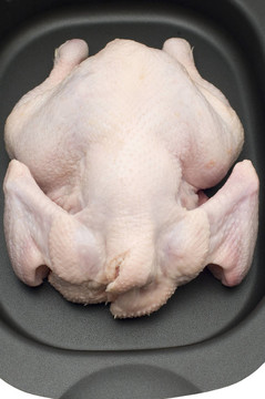 生雞肉