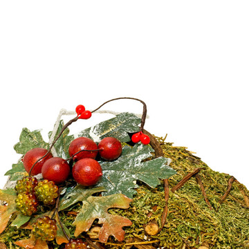 苔蘚和漿果