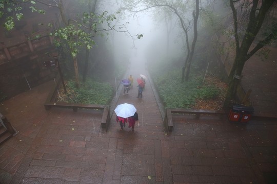 雨中登山游人