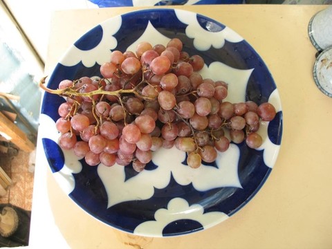 藍(lán)菜上的葡萄