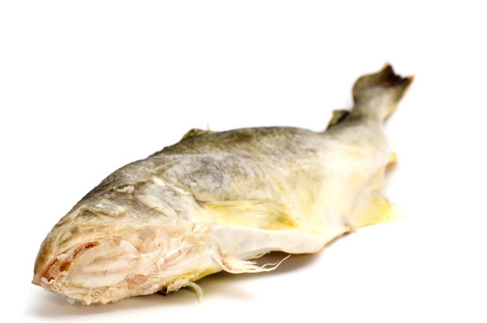 新鮮的魚