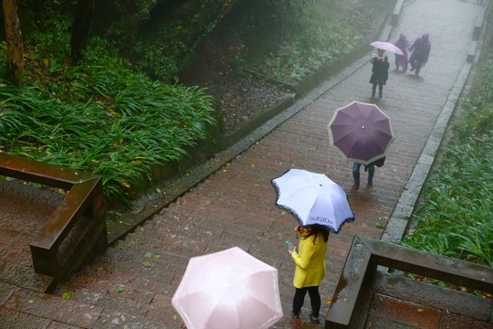 雨中登山游人