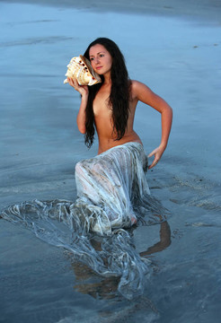 美人魚(yú)