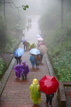 雨中登山游人