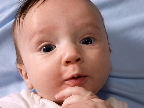 帶著一個想法的嬰兒
