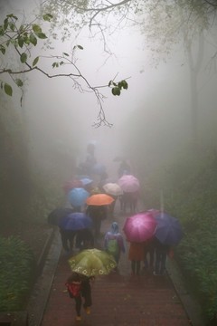 雨霧中登山的游人