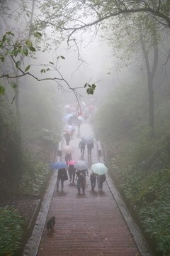 雨中登山
