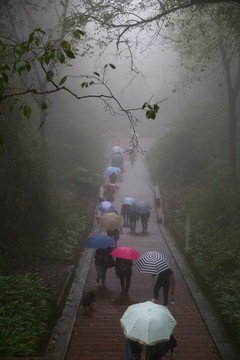 雨霧登山