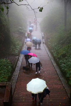 雨霧中登齊云山